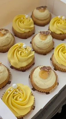Citrus Lemon Cupcakes