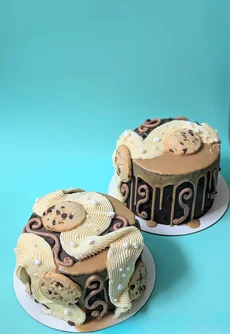 Whimsical Chocolate Chip Cookie