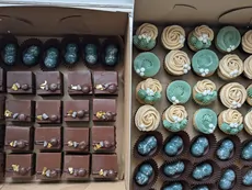 Mini Petit Fours