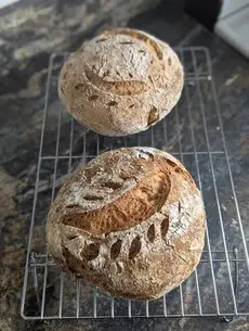 Sourdough